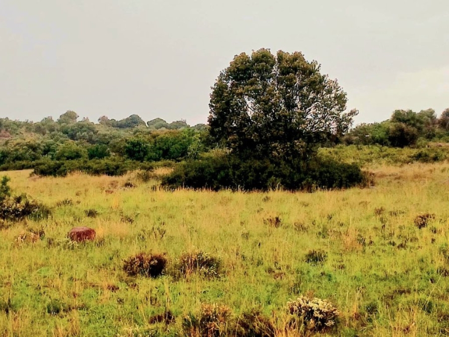 3 Bedroom Property for Sale in Bloemfontein Rural Free State